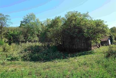 Teren intravilan cu potential, casa si anexe in Lunca - 5