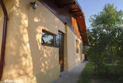 Casă cu 4 camere cu Teren 1294 Mp în Snagov - 5