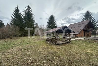 Cabana cu 1524 mp de teren de vanzare pe Valea Avrigului in zona Mlaci - 9