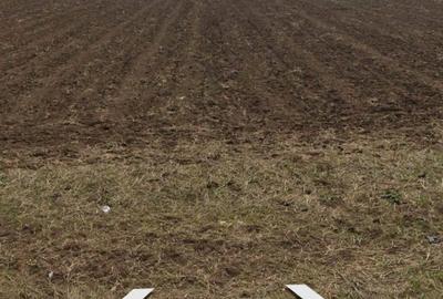 Teren de 502 mp, în Berceni - 4