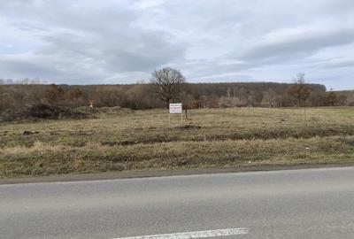 Teren Construcții intravilan de 750 mp, în Șelimbăr - 2