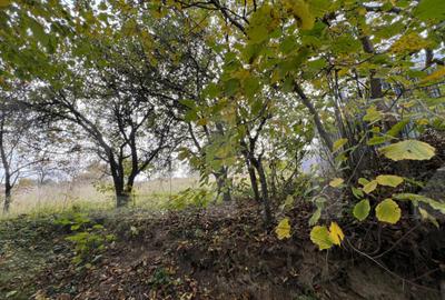 Teren de 702 mp, în Bună Ziua