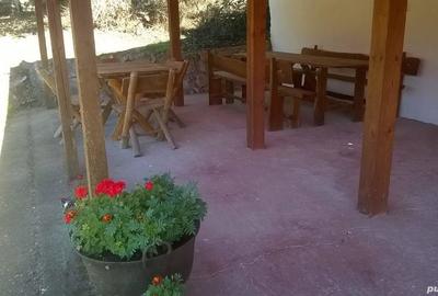 Casă cu Teren 6500 Mp în Șimian - 1