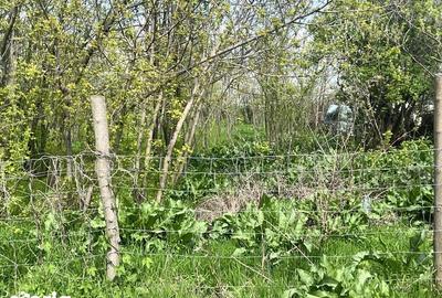 Teren de 2100 mp, în Brădeanu - 4