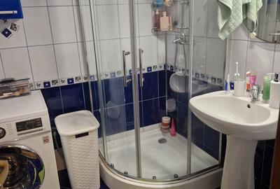 COLENTINA RAU, MAIOR BACILA IN PLAN SECUND, PARCUL PLUMBUITA LA 5MIN. - 13