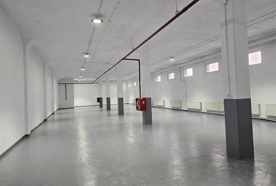 Spațiu industrial, de 450 mp, în Păcii - 2