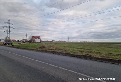 Teren agricol extravilan de 2500 mp, în Corbu - 7