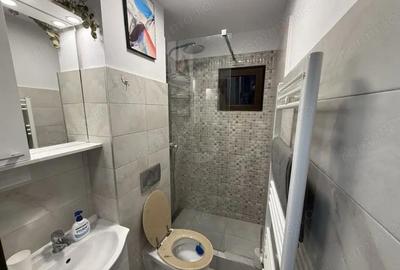 ALUNISULUI-2 CAMERE ,SUPRAFATA 54 MP,CENTRALA GAZ - 9