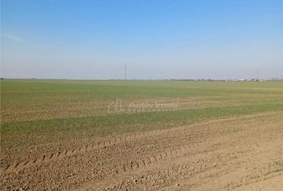 Teren 30250 mp - ideal investitie - - 3