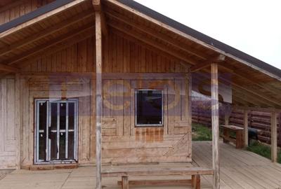 VANZARE CASA LEMN I 4 CAMERE I OCAZIE I STRADA PARAULUI I MAGURELE - 3