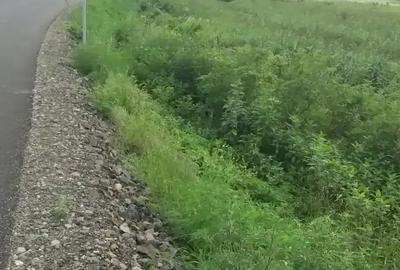 Spațiu comercial, în Ardusat - 1