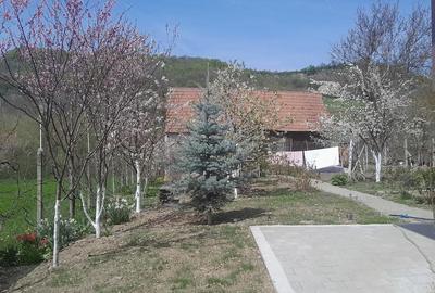 Casă cu 3 camere cu Teren 1400 Mp în Amnaș - 2