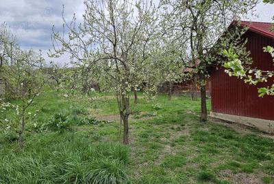 Teren de 2700 mp, în Bogați - 8