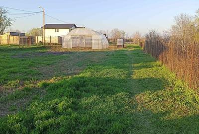 Teren de 6400 mp, în Joița - 1