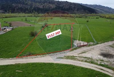 Teren agricol extravilan de 3157 mp, în Exterior Est - 1