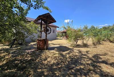 Casă cu 2 camere cu Teren 772 Mp în Berceni - 6