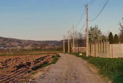 Teren în Târgu Trotuș - 7