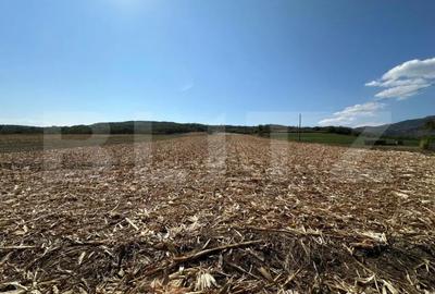 Teren de 14000 mp, în Vințu de Jos - 4