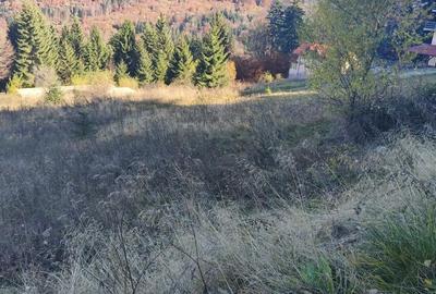 Teren în Central - 1