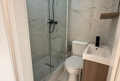 Dristor Park Lake - Scoala 88 - langa PARC IOR - 15