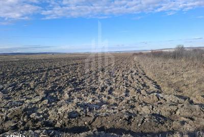 Spațiu comercial, în Cristian