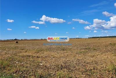 Vanzare teren intravilan Paulesti Prahova - 3