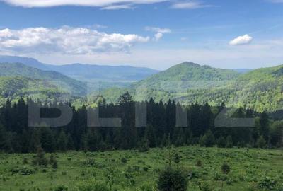 De vanzare, teren intravilan 5.500mp, Predeal - 3