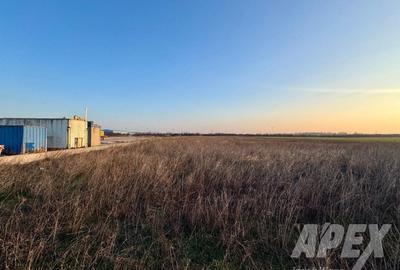 Teren industrial 16300mp | 60X275M | Centura Bucuresti - 7