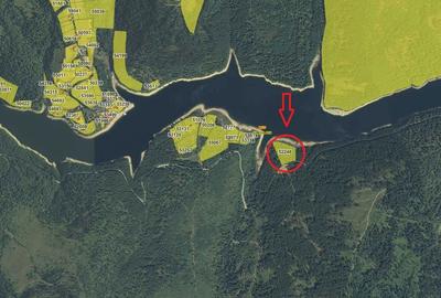 Teren de 10146 mp, în Giurcuța de Sus - 2