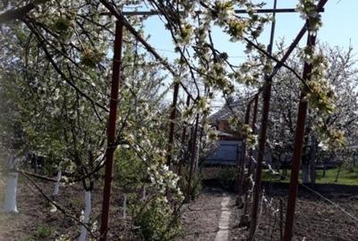 Casă cu 4 camere în Chișineu-Criș - 3