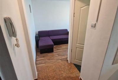 Apartament cu 2 camere semidecomandat, mobilat în Șagului - 5