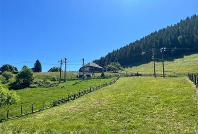 TEREN INTRAVILAN, 1380MP, FUNDATA - 6