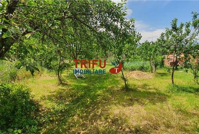 Casa de vanzare com Ciugud toate utilitatile - 6