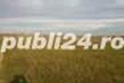 Teren de 600 mp, în Central - 7