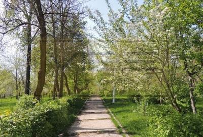 Apartament cu 3 camere decomandat, mobilat în Tătărași - 21