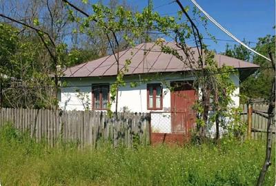 Casă cu 3 camere cu Teren 5000 Mp în Mozăceni - 9