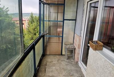 Apartament cu 2 camere semidecomandat în Băișoara - 7
