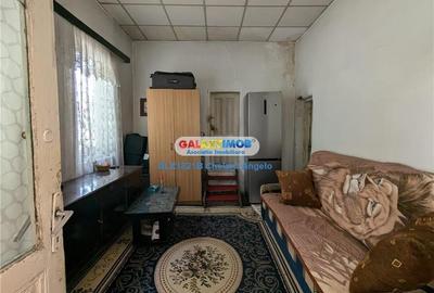 Parcul Carol casa singur curte 3 camere,curte 70 mp - 3