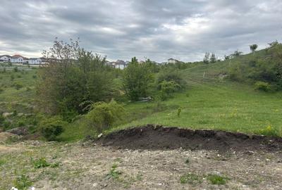 Teren de 1000 mp, în Apahida