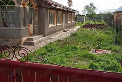 Casă cu 5 camere în Central - 2