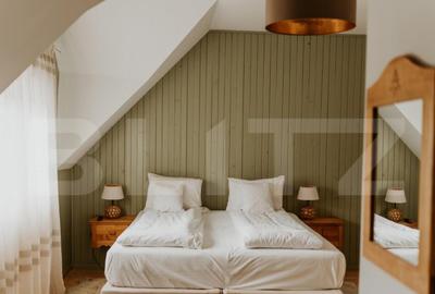 Afacere la cheie! Vila clasificata, 5 camere, 300 mp, teren - 2