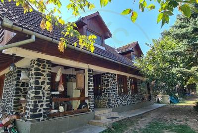 De Vanzare Casa si Cabana 74 ari Viille Satu Mare - 2