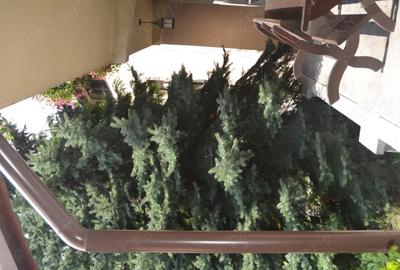 Casă cu 6 camere cu Teren 580 Mp în Valea Alba - 12