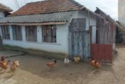 Casă cu 4 camere cu Teren 1021 Mp în Devesel - 7