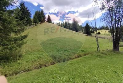 Teren de 14318 mp, în Paltin - 1
