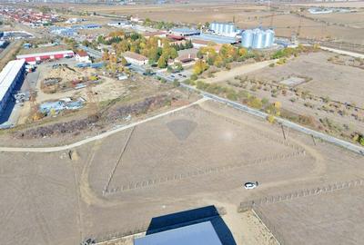 Teren 4,804mp com. Vladimirescu jud. Arad - 3