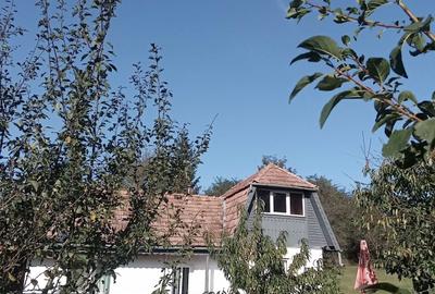 Casă cu 3 camere în Miheșu de Câmpie - 6