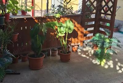 Casa de vanzare sau schimb cu apartament 2-3camere - 2