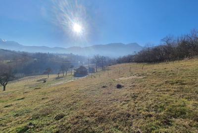 Teren rezidential zona Bran Tohanita zona de case - 7