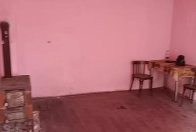Casă cu 2 camere în Dâlja Mică - 4